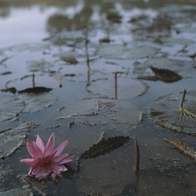 Expeditions - Vietnam 2013